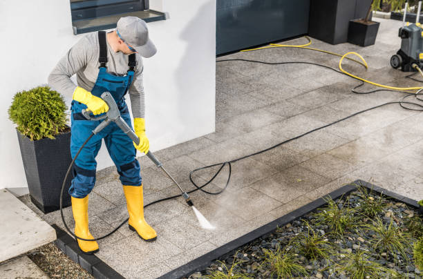 Best House Pressure Washing  in Guntown, MS